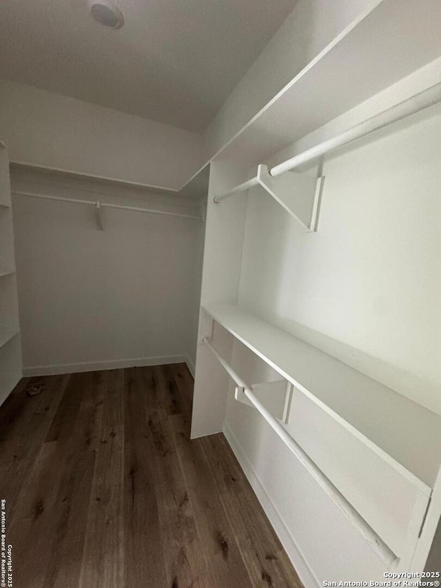 spacious closet with dark hardwood / wood-style flooring