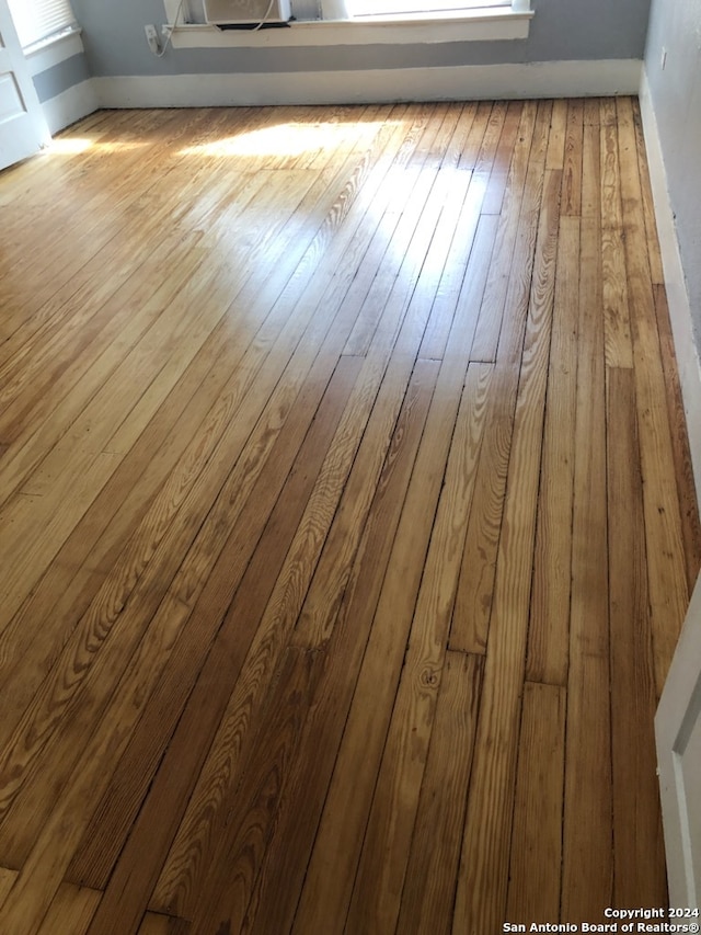 room details with hardwood / wood-style flooring