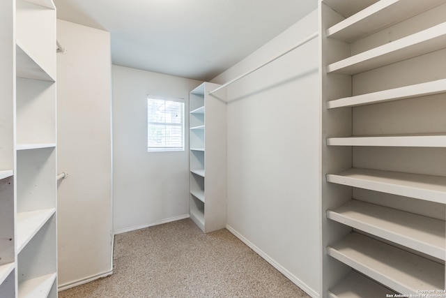 walk in closet with light colored carpet