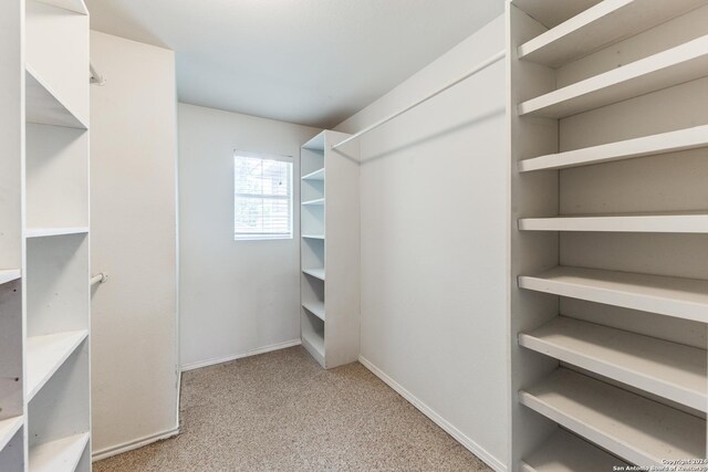 walk in closet with light carpet