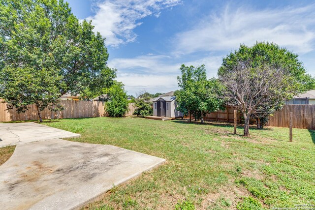 view of yard featuring a patio area and a shed