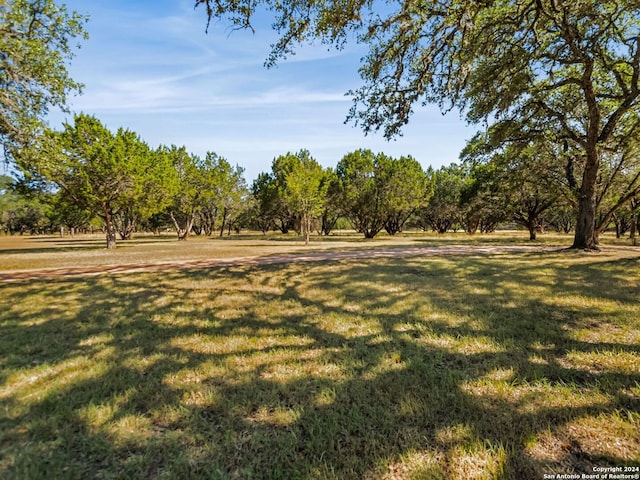 143 Cascade Caverns, Boerne, TX 78015 - view of yard
