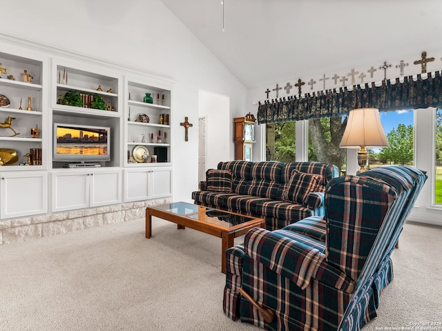 143 Cascade Caverns, Boerne, TX 78015 - living area featuring high vaulted ceiling and carpet