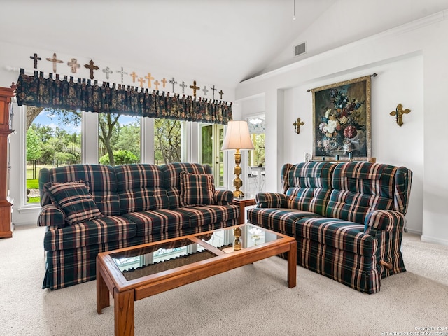143 Cascade Caverns, Boerne, TX 78015 - living area featuring visible vents, plenty of natural light, high vaulted ceiling, and carpet floors