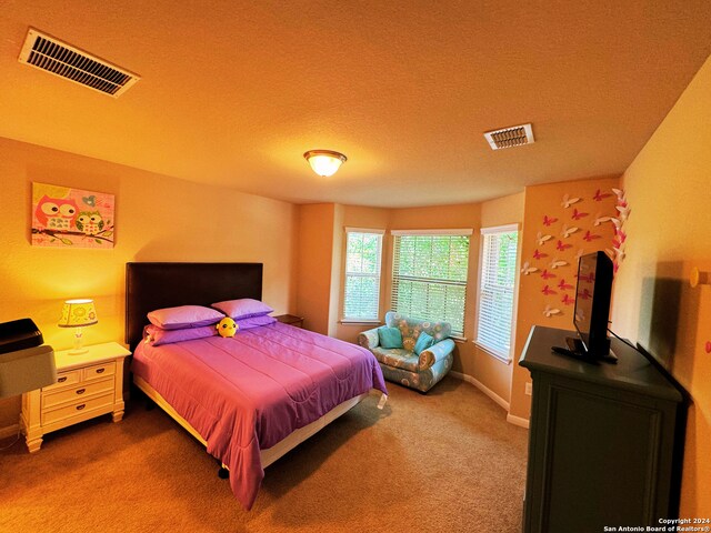 carpeted bedroom with a textured ceiling