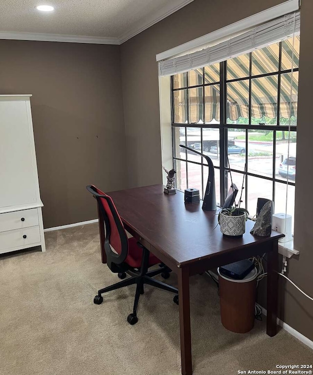 office area with a textured ceiling, ornamental molding, and light colored carpet