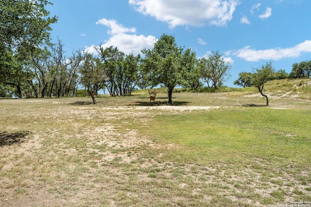 view of yard featuring a rural view