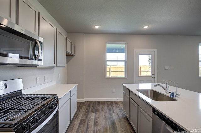 kitchen featuring sink, dark hardwood / wood-style floors, gray cabinetry, and stainless steel appliances