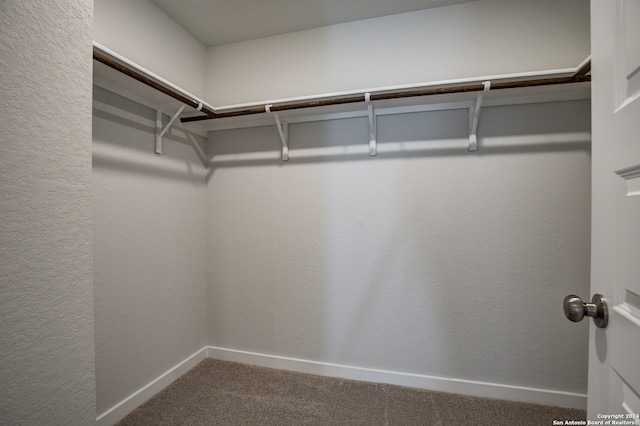 spacious closet featuring carpet floors