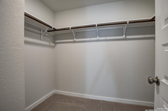 walk in closet with carpet
