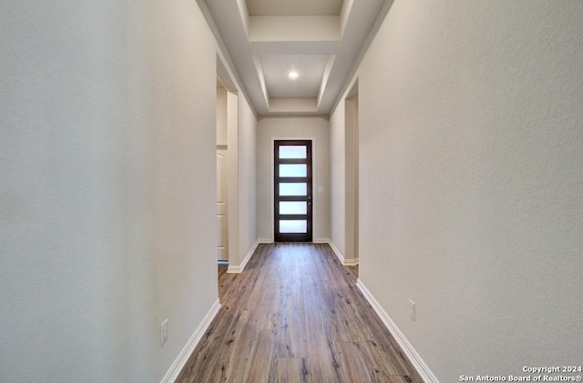 entryway featuring wood-type flooring and a tray ceiling