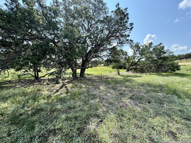 34707 Deeanne Valley Trl, Bulverde, TX 78163