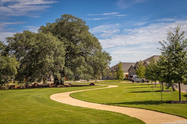 view of home's community with a lawn