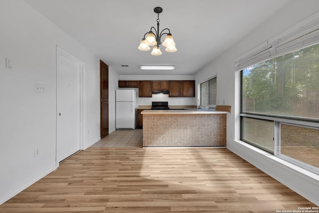 kitchen featuring sink, plenty of natural light, range hood, and white refrigerator