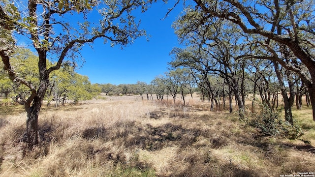 Listing photo 2 for 928 Annabelle Ave, Bulverde TX 78163