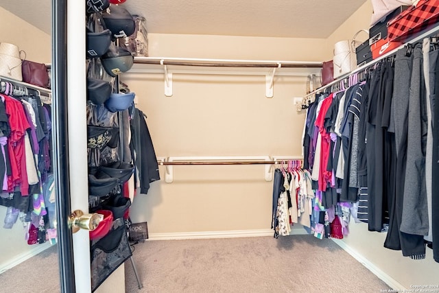 spacious closet featuring carpet flooring