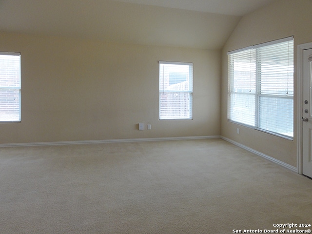 empty room featuring vaulted ceiling, carpet floors, and plenty of natural light