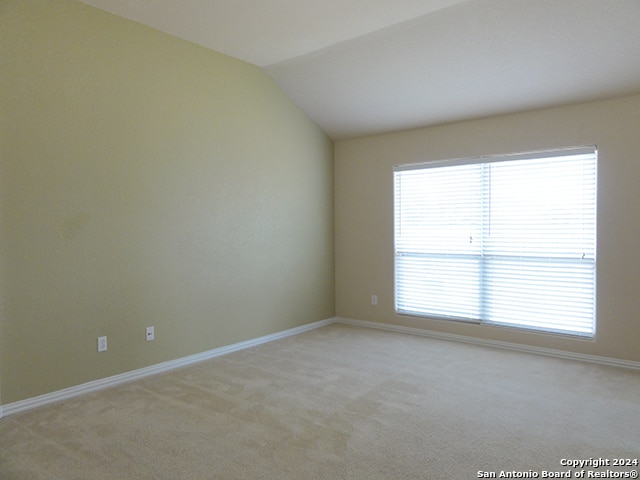 carpeted empty room featuring lofted ceiling and a healthy amount of sunlight