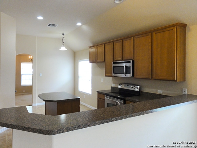 kitchen with kitchen peninsula, a wealth of natural light, lofted ceiling, and stainless steel appliances