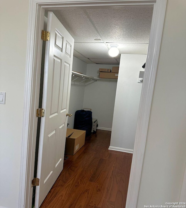 walk in closet with dark hardwood / wood-style floors and a paneled ceiling