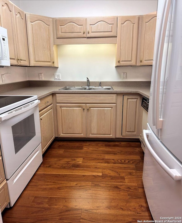 kitchen with dark hardwood / wood-style floors, sink, light brown cabinets, and white appliances