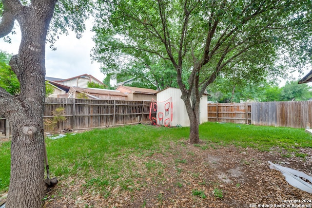 view of yard featuring a storage shed