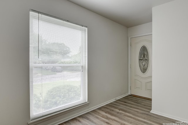 entrance foyer featuring light wood-style floors, plenty of natural light, and baseboards