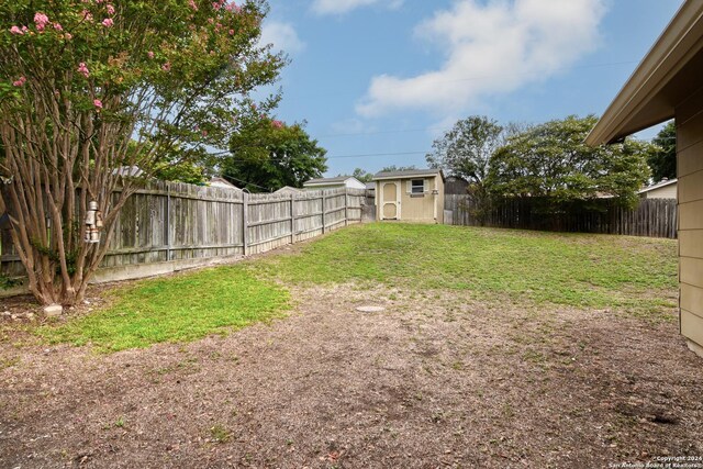 view of yard with a shed