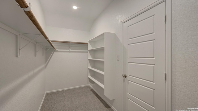 walk in closet featuring carpet flooring