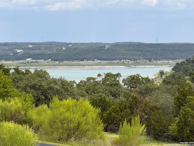 Listing photo 3 for 0 Tbd Oak Shrs, Canyon Lake TX 78133