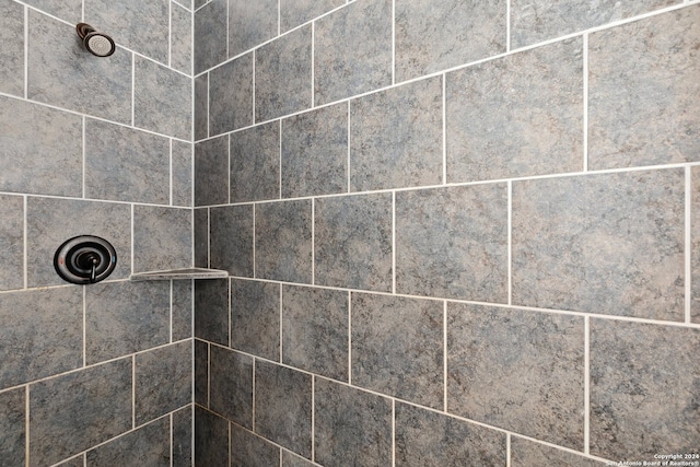 interior details with tiled shower