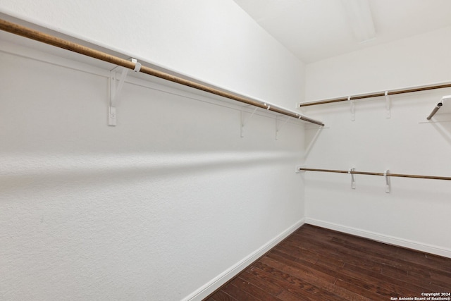 walk in closet with dark hardwood / wood-style floors