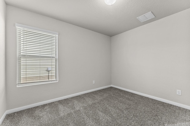 empty room with carpet flooring and a textured ceiling