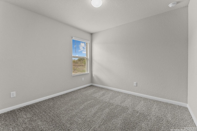 empty room with carpet flooring