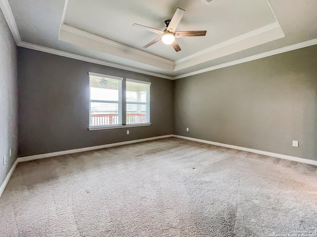 unfurnished room featuring crown molding, carpet flooring, and a tray ceiling