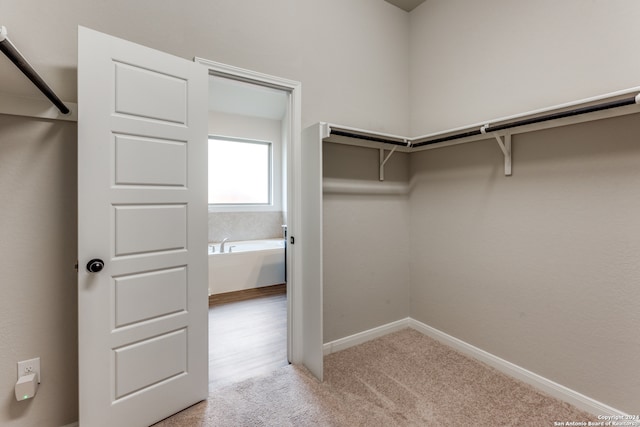 spacious closet featuring light colored carpet