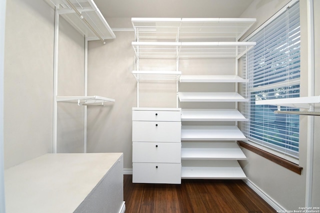 walk in closet featuring dark hardwood / wood-style floors