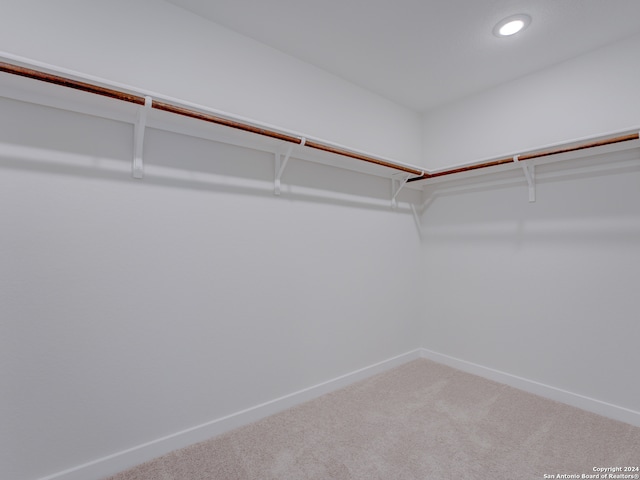 walk in closet featuring carpet floors