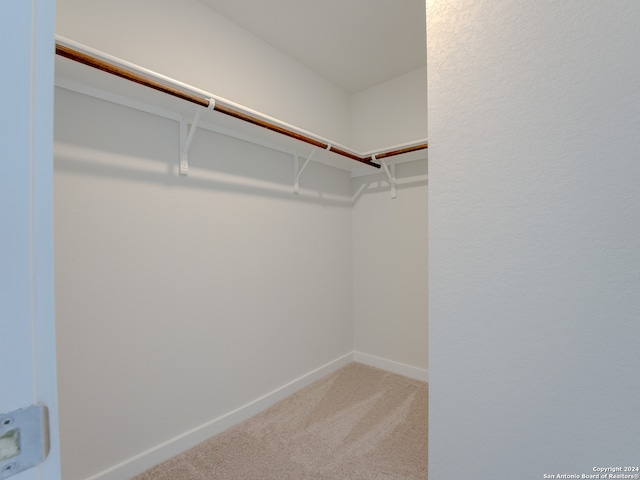 walk in closet with light colored carpet