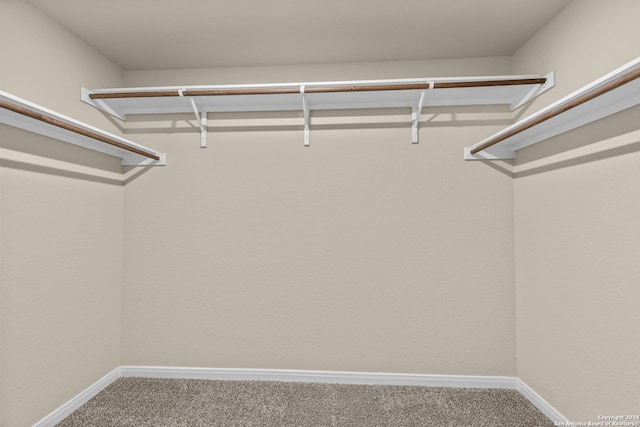 spacious closet featuring carpet flooring