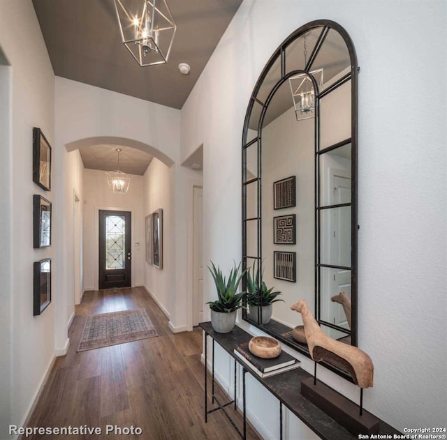 entrance foyer featuring dark hardwood / wood-style flooring