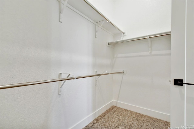 walk in closet featuring carpet flooring