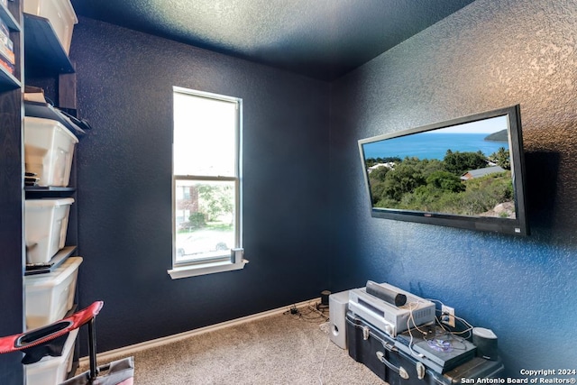 interior space with a textured ceiling and carpet floors