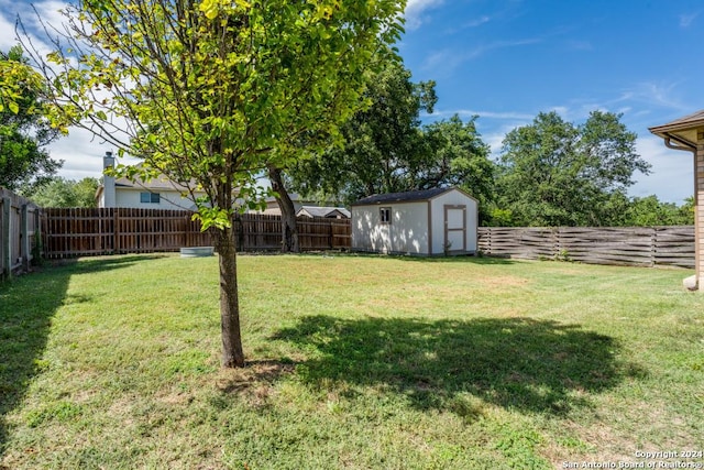 view of yard featuring a storage unit