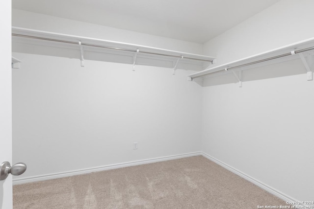 spacious closet with light carpet