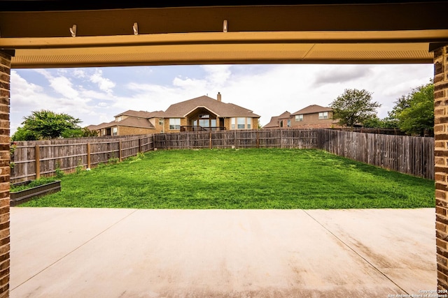 view of yard featuring a patio