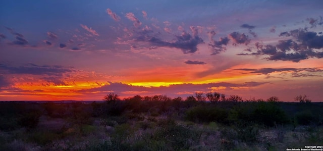 view of nature at dusk