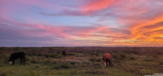 view of nature at dusk