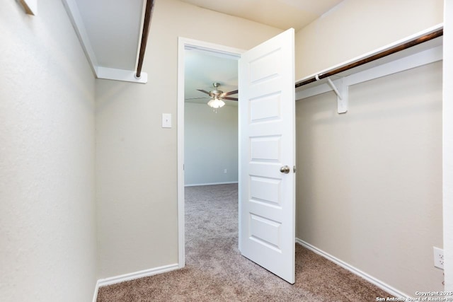 walk in closet with light colored carpet