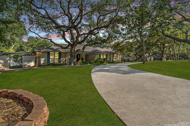 ranch-style house featuring a yard